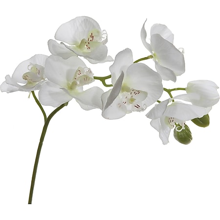 HTI-Living Orchideenzweig Kunst 9 Blüten 