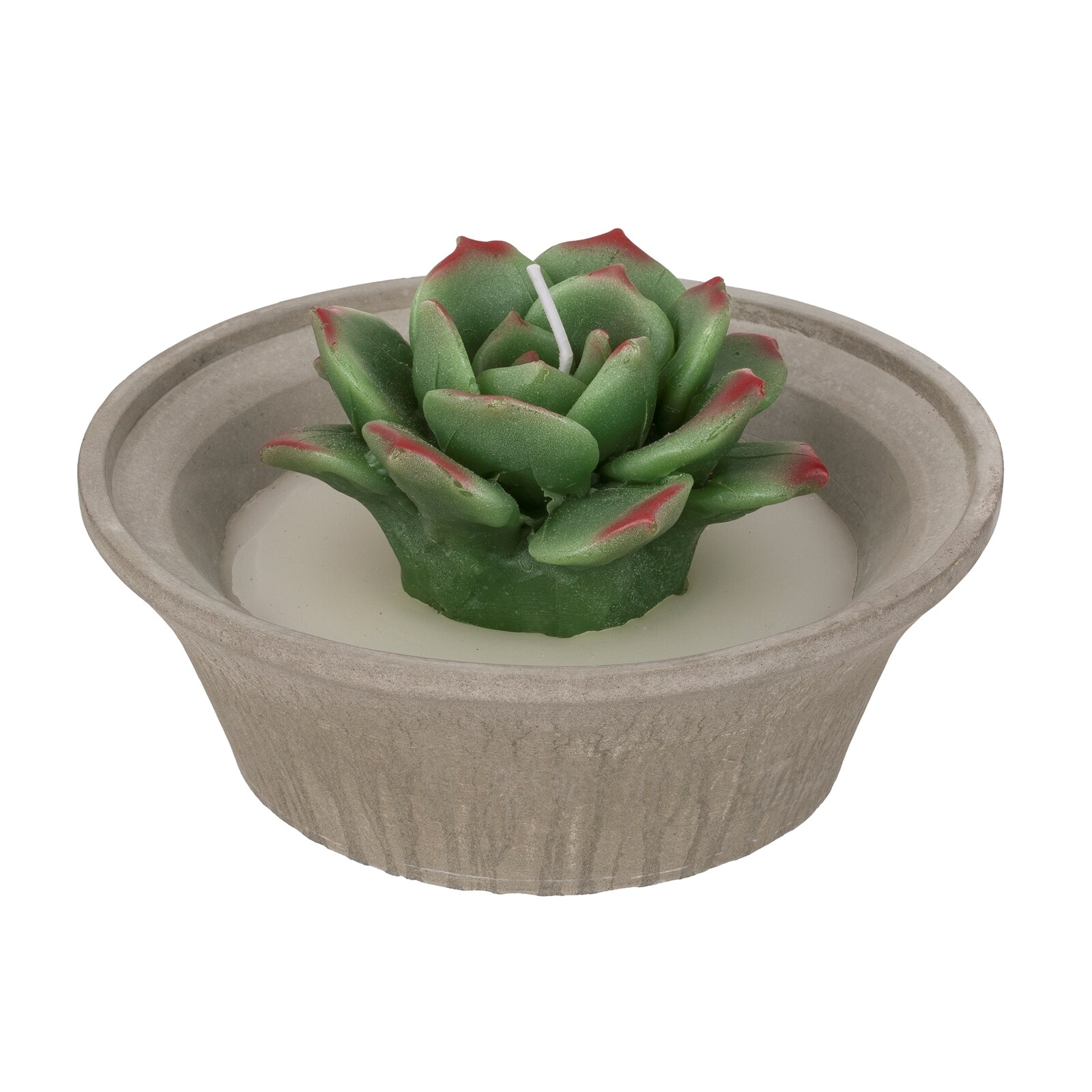 HTI-Living Kerze 1 St&uuml;ck Sukkulente 