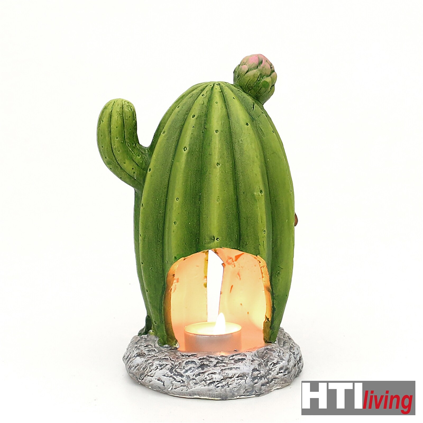 monstera mint kaufen Monstera Mint main image 0