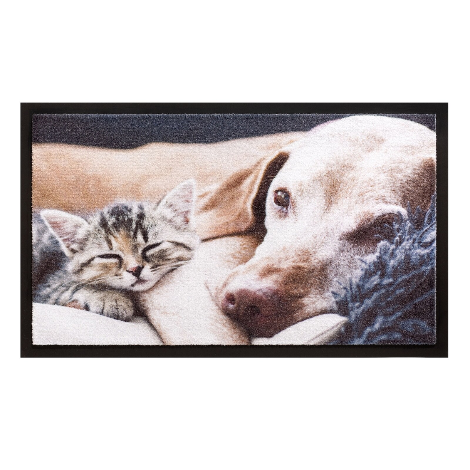 HTI-Living Fu&szlig;matte 40x60 cm Image Kitten 