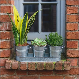 HTI-Living Zinktöpfe 3er-Set dekorative Pflanzgefäße für Fensterbank und Garten 