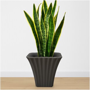 HTI-Living Übertopf Blumentopf 