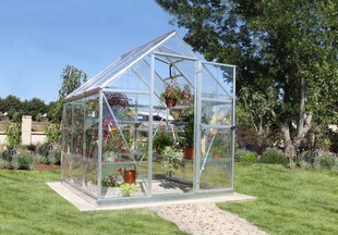 Palram - Canopia | Harmony 1.9 x 1.9 Gewächshaus, silber, klar 