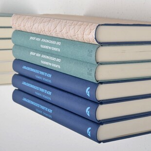 Element System schwebendes Bücherregal 2er-Set ALADIN Regal Wandregal 