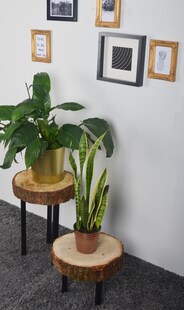 Element System Möbelfüße 4er-Set Ø30 Mattschwarz Tischbeine Tischgestell 