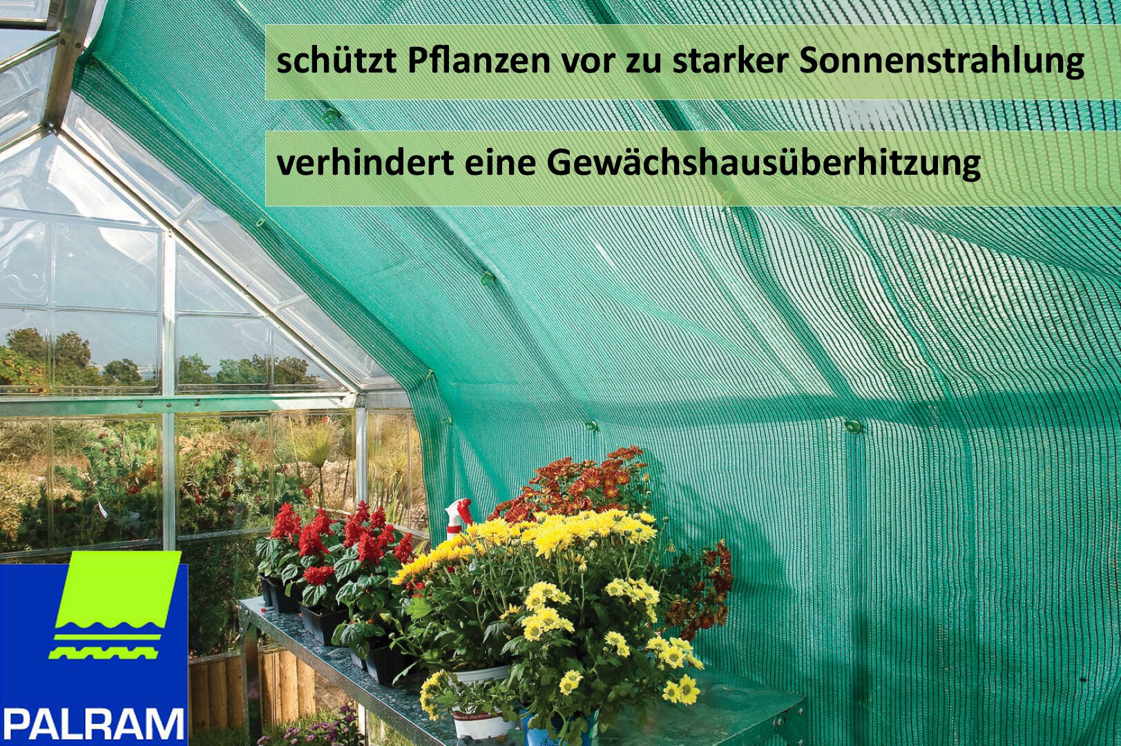 Palram - Canopia |2.3 x 2.65 Schattierung Gew&auml;chshaus 