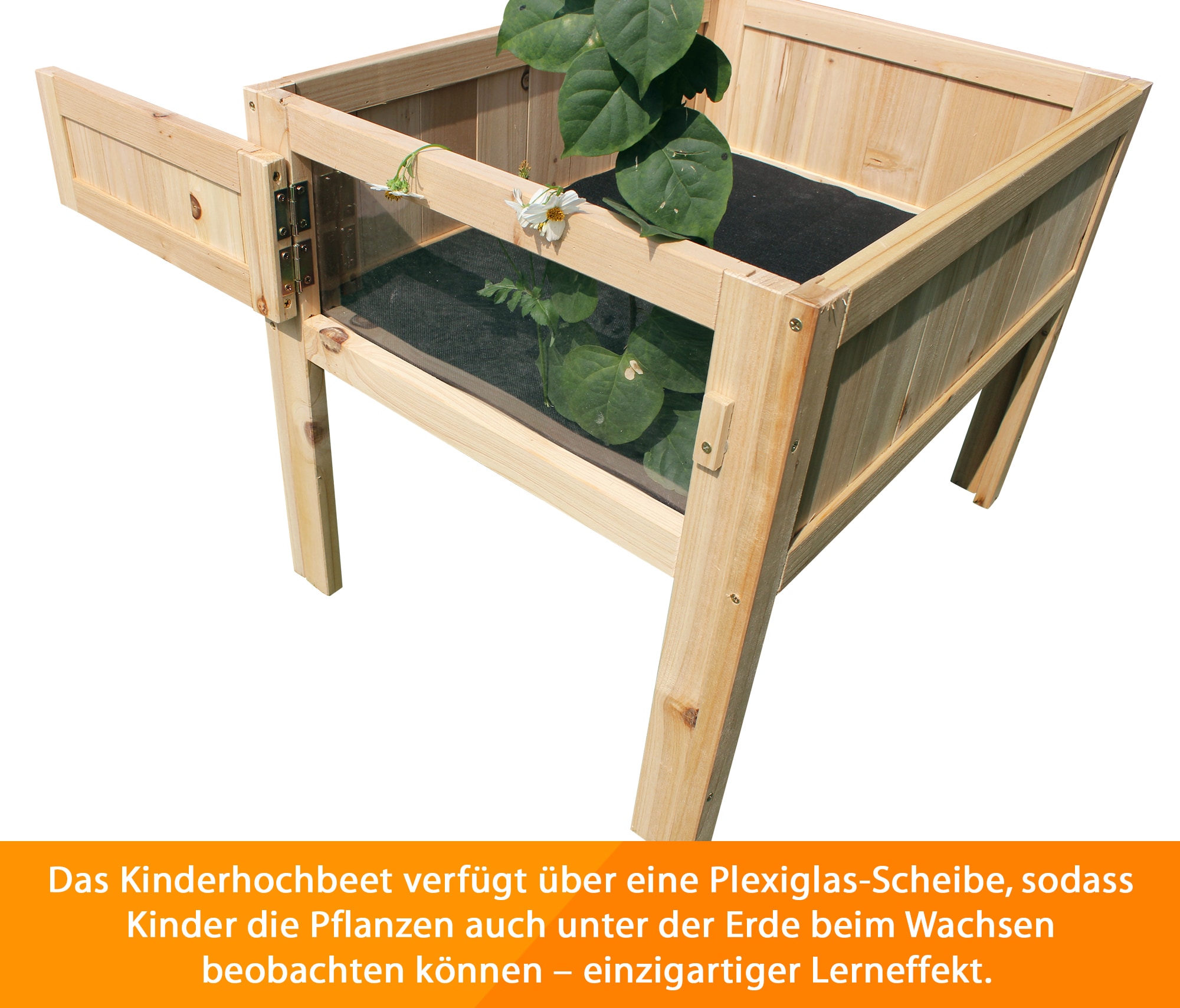 Coemo Hochbeet Peter f&uuml;r Kinder mit Schaufenster 