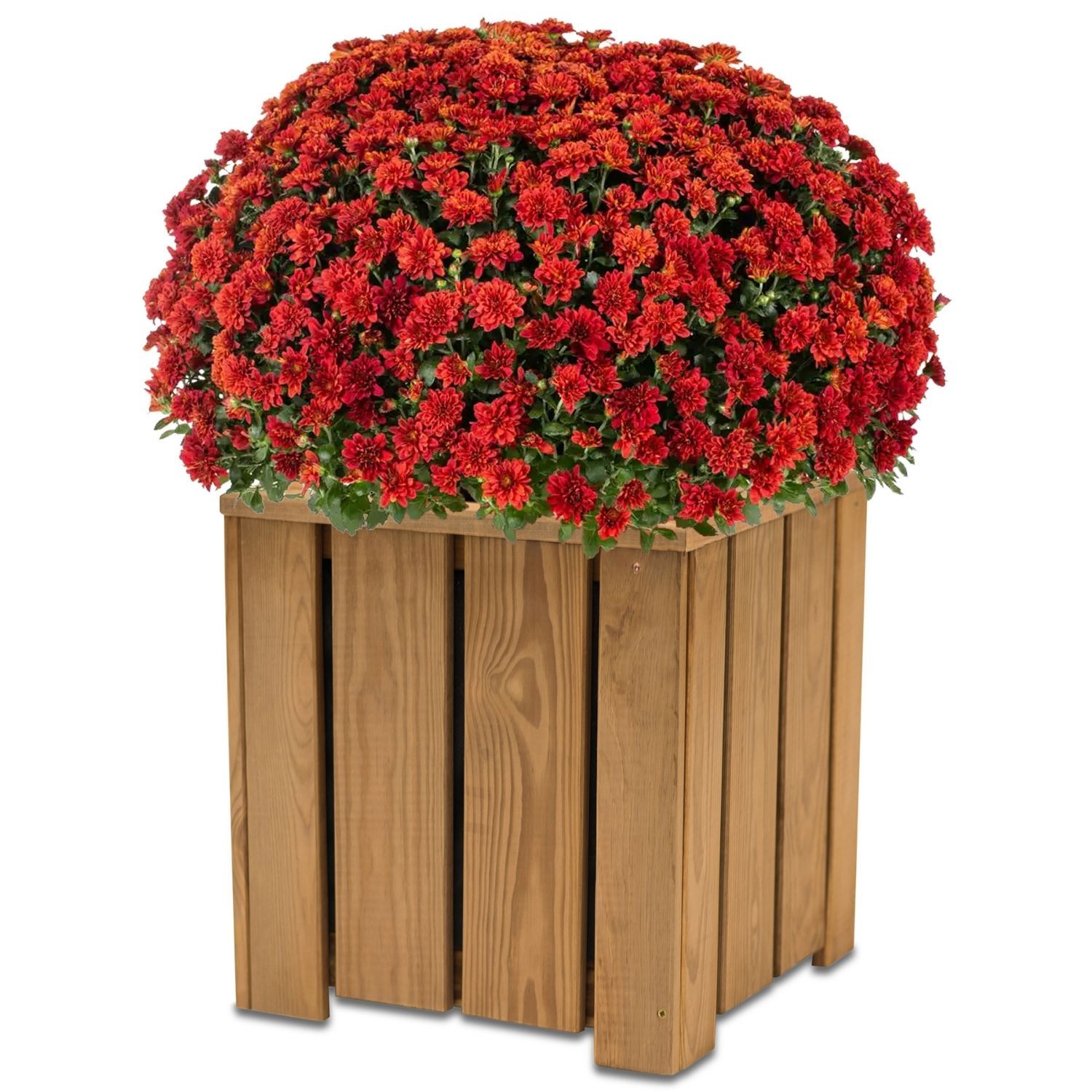 Coemo Blumenkasten Riga kleines Kr&auml;uterbeet Pflanzk&uuml;bel 