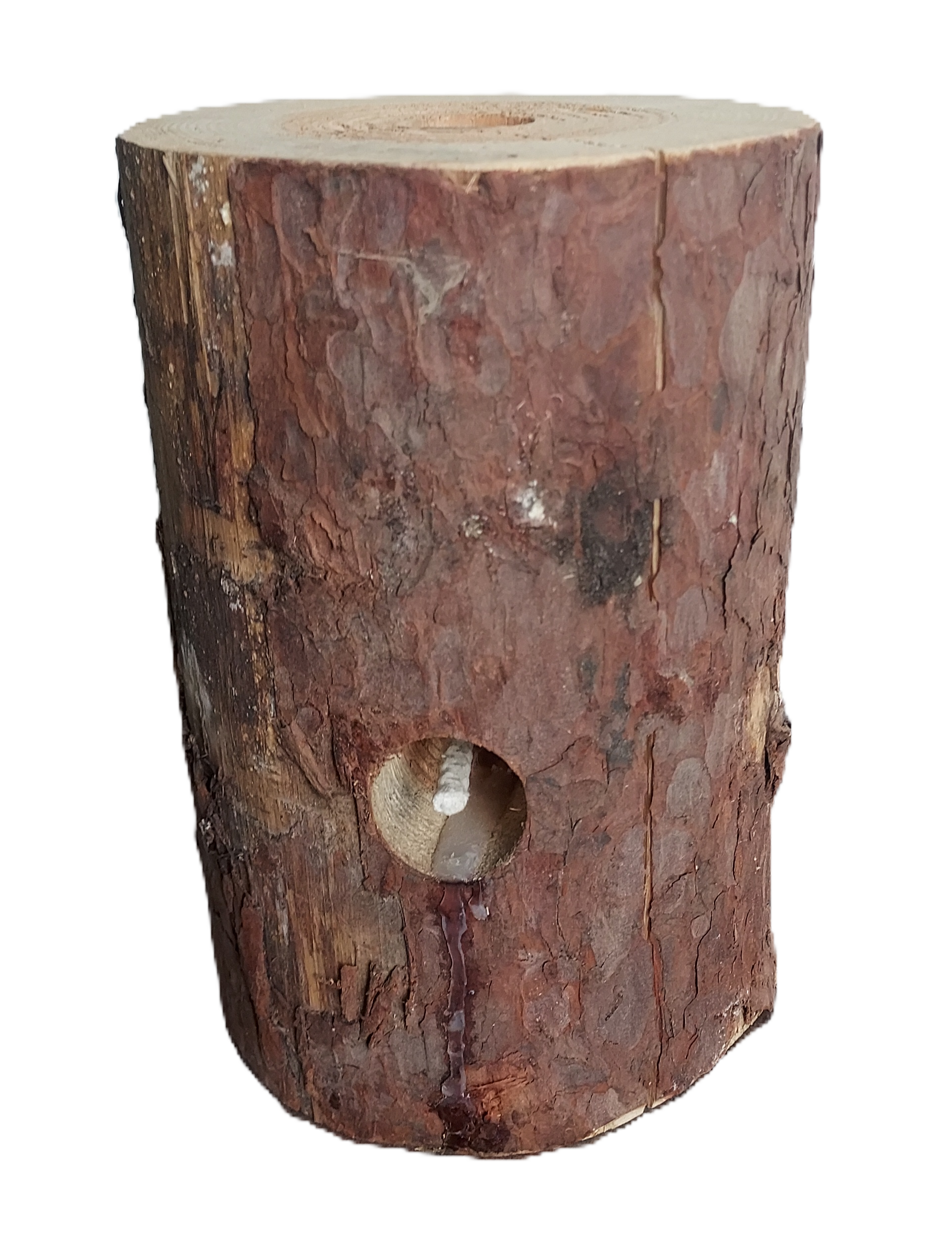 Woodson original Schwedenfeuer 5 St&uuml;ck Finnenfackel Baumfackeln 