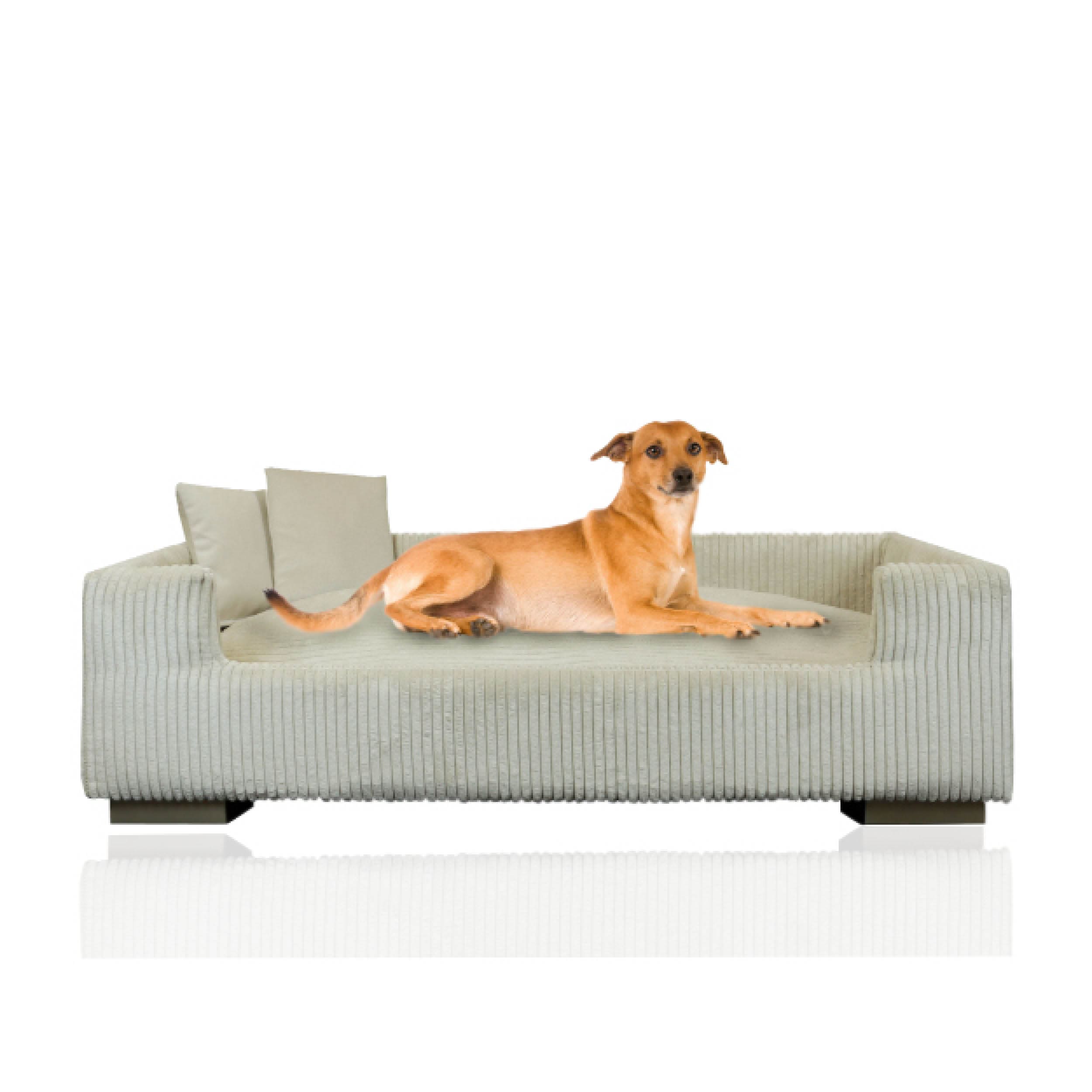 Rohrschneider Hundesofa gepolstert Cord breit beige 