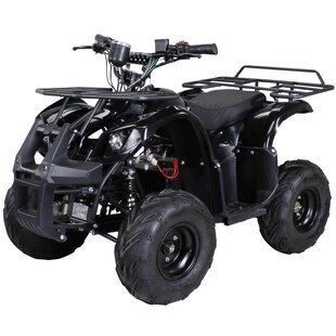 Elektro-Kinderquad S-8 Farmer, Midi-Quad mit 1000 Watt, Scheiben-/Trommelbremsen, bis 20 km/h, ab 8 (Schwarz) 