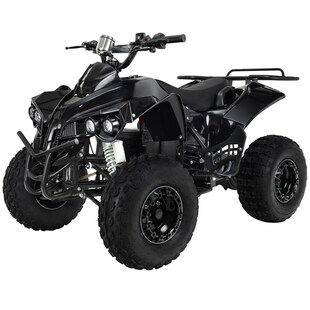 Elektro-Kinderquad S-10, Pocket-Quad mit 1000 Watt, Federung, Scheiben-/Trommelbremsen, bis 20 km/h (Schwarz) 