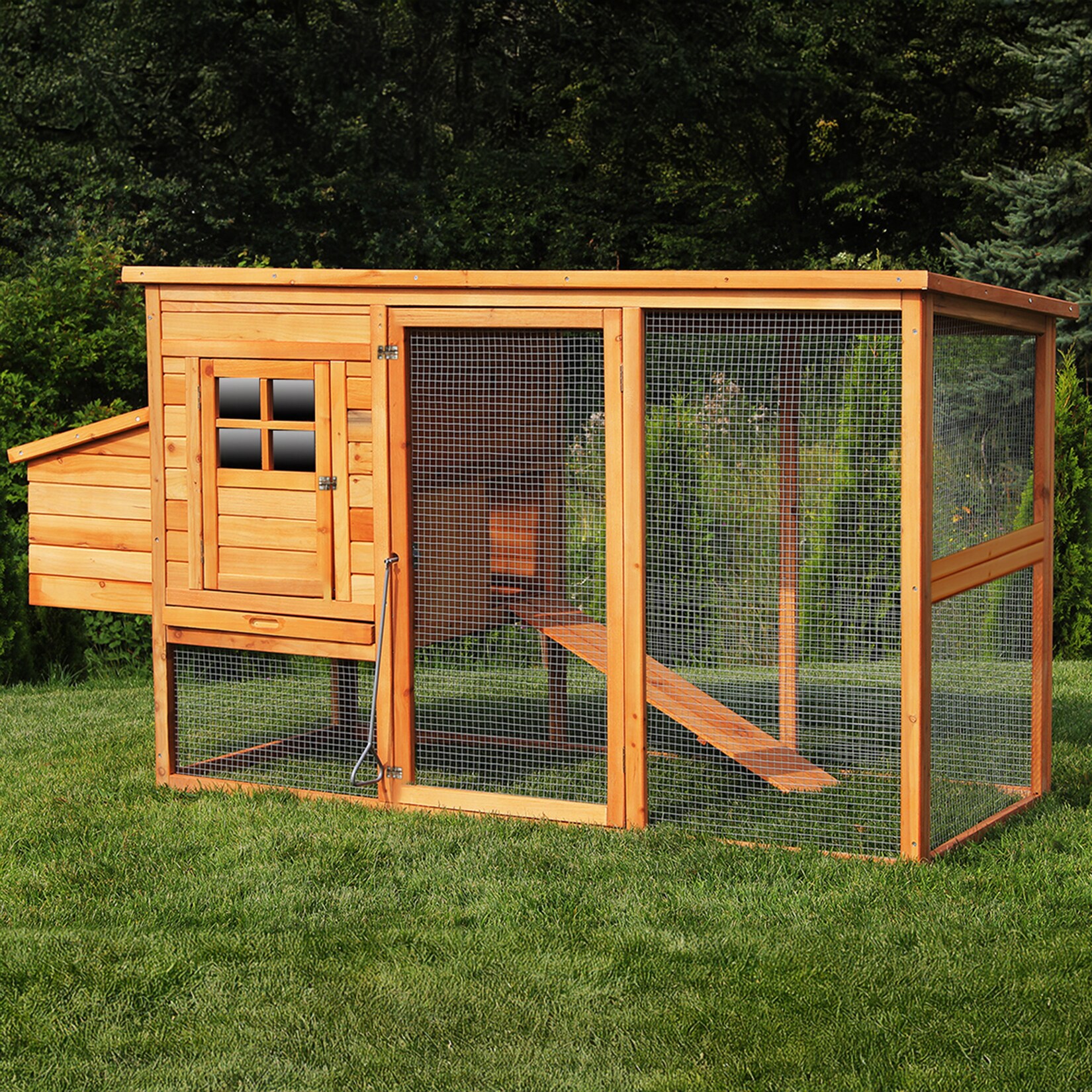 MyAnimal Hühnerstall für 4 Hühner MH-04 mit Eiablage, wasserabweisendes Dach, schutzimprägniert (Braun)