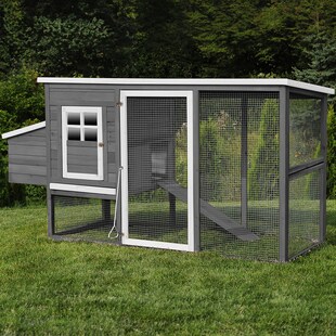 MyAnimal Hühnerstall für 4 Hühner MH-04 mit Eiablage, wasserabweisendes Dach, schutzimprägniert (Grau) 