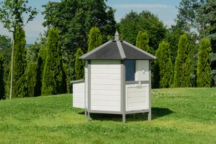 MyAnimal Hühnerstall für 4 Hühner MH-29, Hühnerhaus 6-eckig, abnehmbares Dach, separate Eiablage 