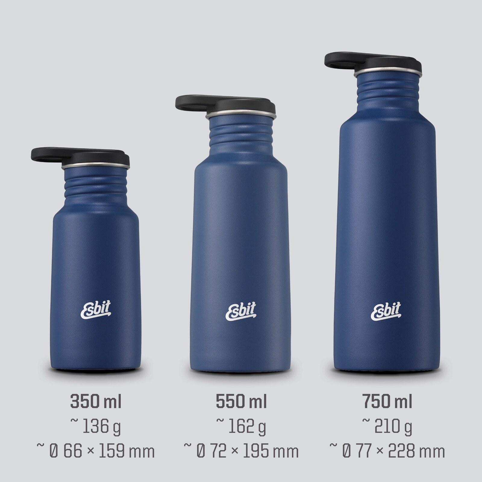 Esbit Trinkflasche „Majoris“ Aus Edelstahl – 0,68 L, Grau, Mit Loop-Verschluss & Auslaufsicher