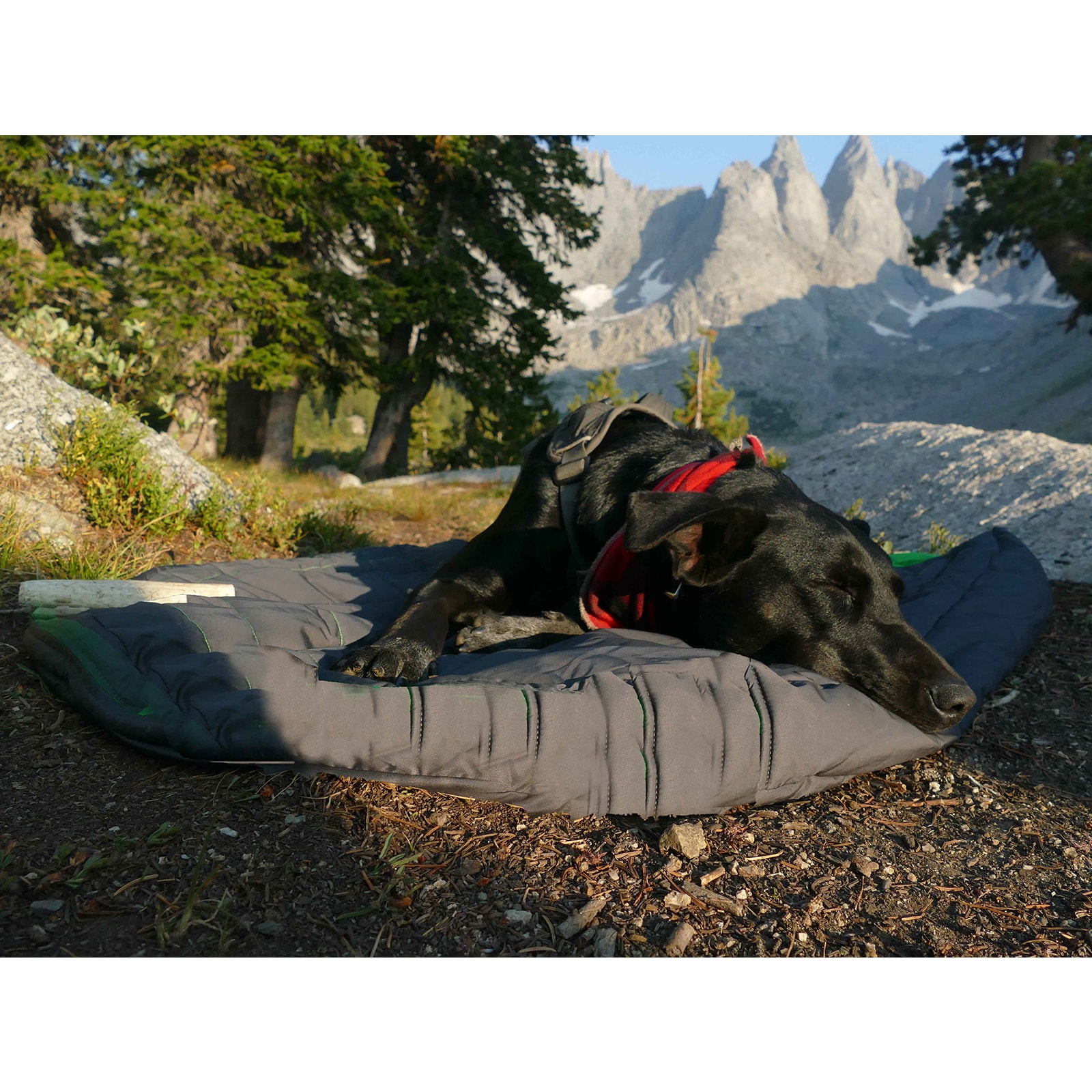 OUTCHAIR Camping Heizdecke Comforter L Outdoor Decke Hunde Wärme