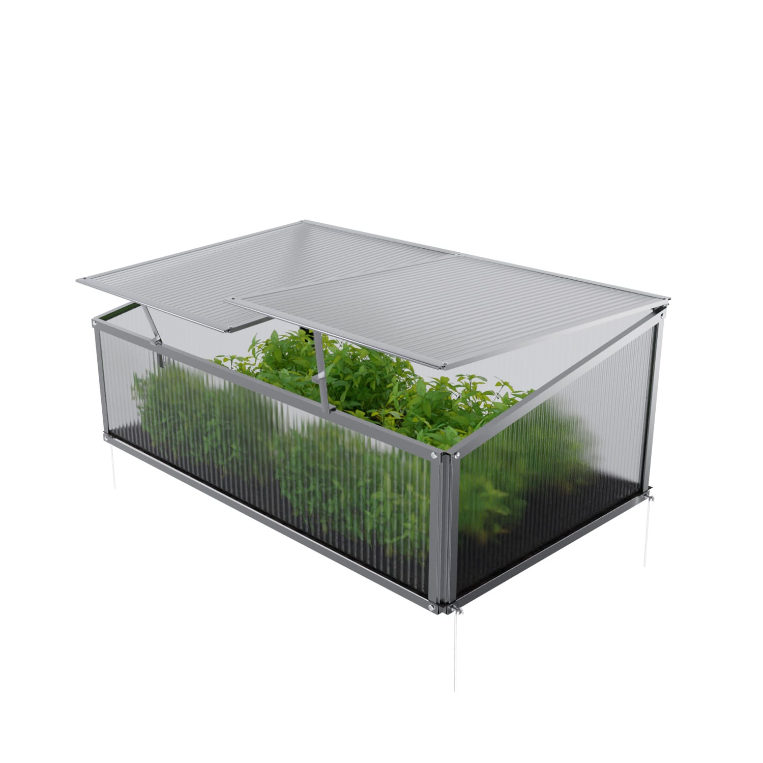 GARMIO® Frühbeet Mini Gewächshaus Allium mit Dachfenster, UVSchutz