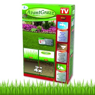 Best Direct® Rasensamen - Grassamen - Unkrautresistent - Nachsaat Avant Grazz 