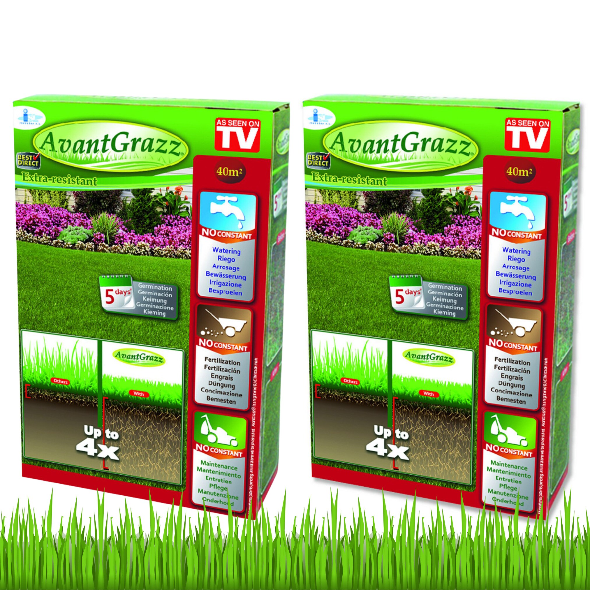 Best Direct&reg; Rasensamen - Grassamen - Unkrautresistent - Nachsaat Avant Grazz 