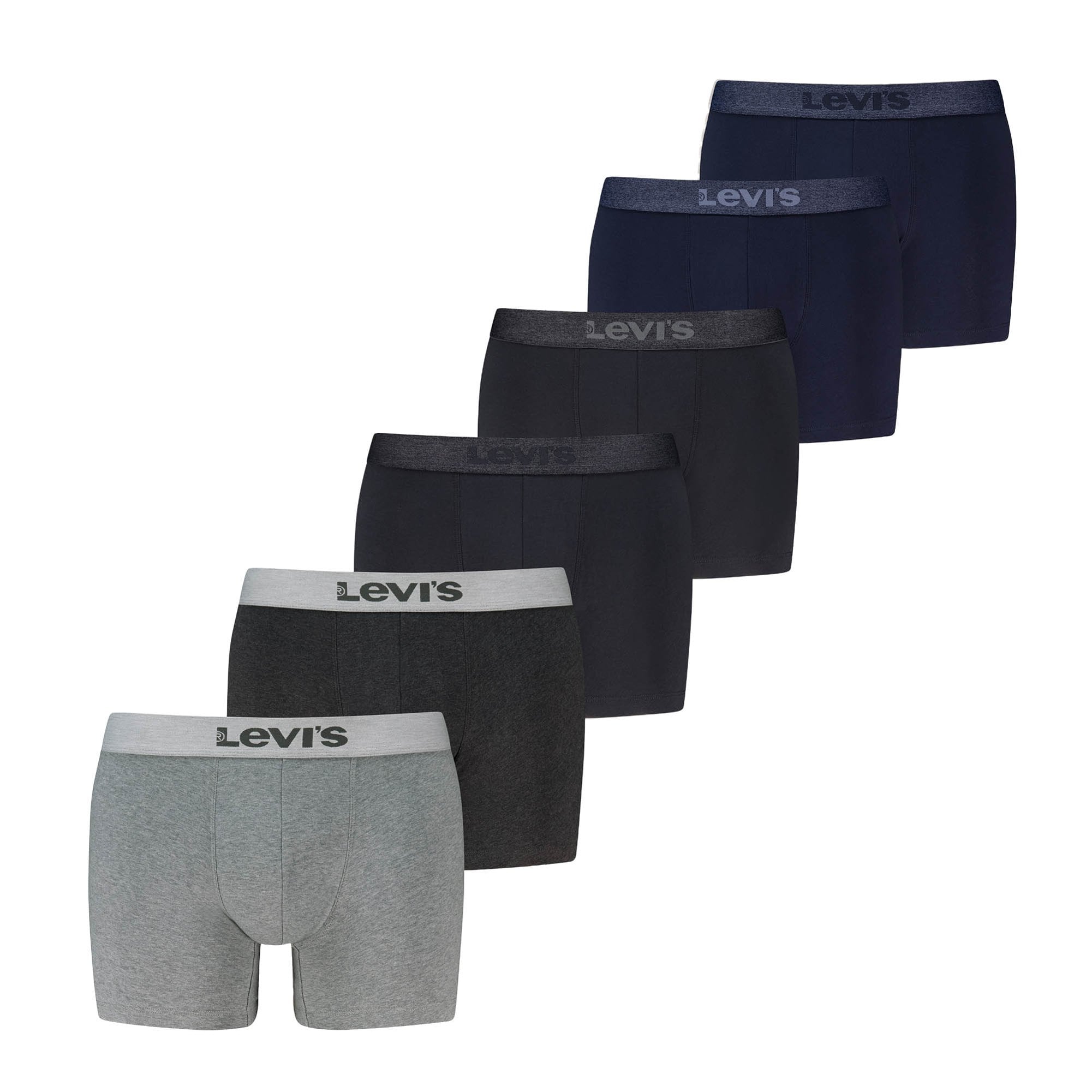 WB Boxer Brief 6P ECOM Herren Boxershort 