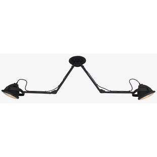 BRILLIANT Lampe Carmen Deckenspot 2flg schwarz korund 