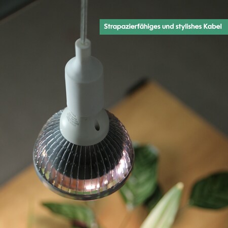 Philips Kfz Lampenfassung 11182X2 Sockel PX26d Bauart (Kfz-Leuchtmittel) H7  kaufen