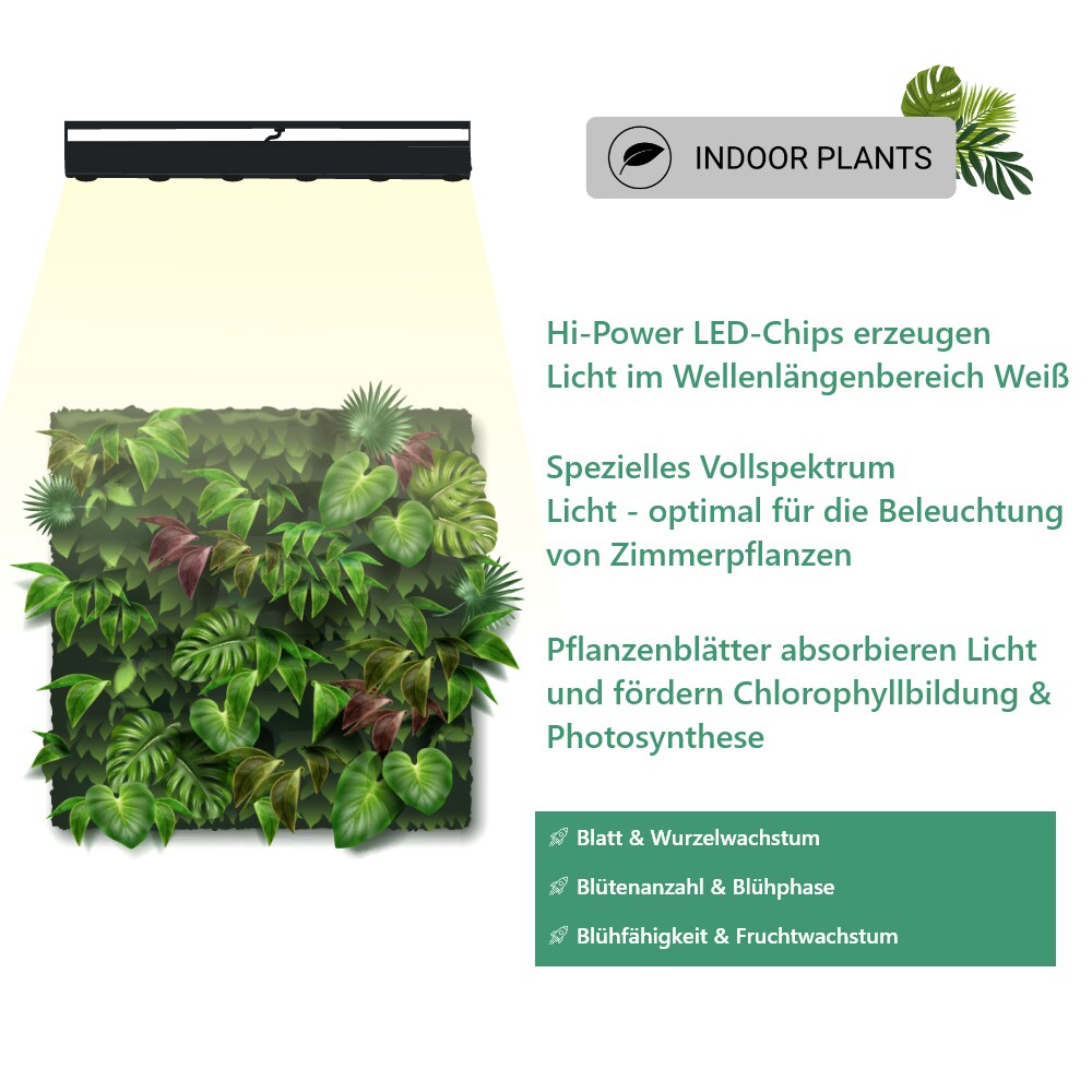 Parus by Venso LED Track Light Schwarz 60cm 60 , Stromschienenstrahler,  Pflanzenlampe fr Zimmerpflanzen LED Beleuchtung fr Fassaden- und  Wandbegrnung, Pflanzenlicht LED Vollspektrum Grow Light bei Marktkauf  online bestellen