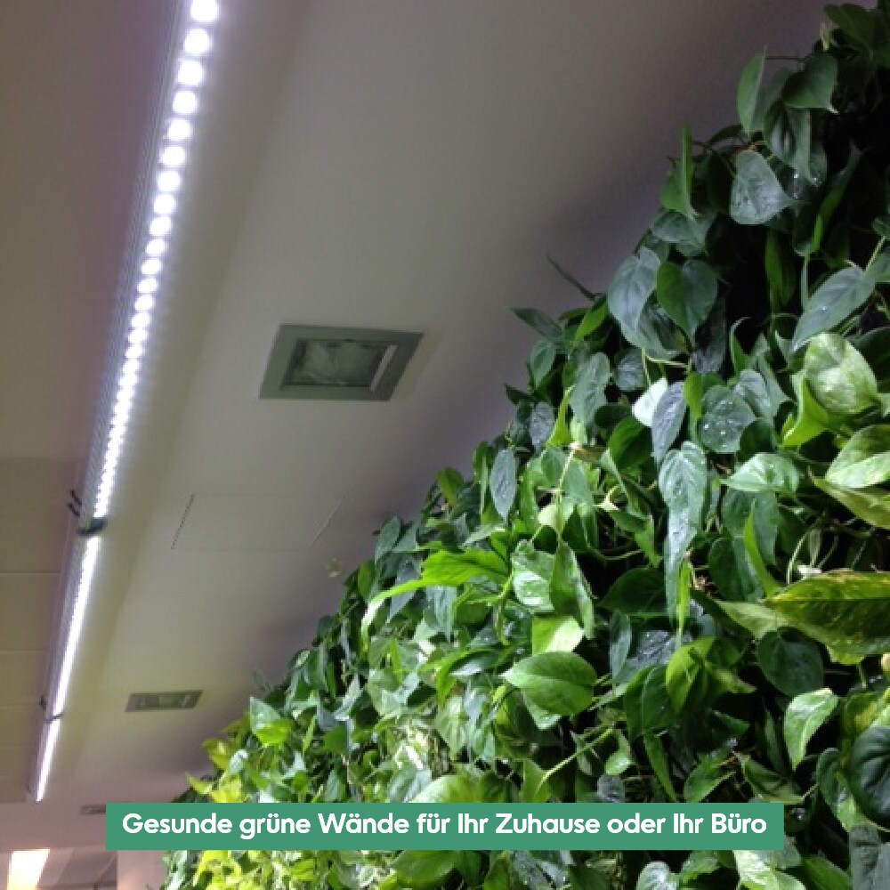 Parus by Venso Wall Spot 120cm, Abstrahlwinkel 60, LED Wachstumslampe,  Grow Light fr Zimmerpflanzen und Grnpflanzen, Fassaden- und Wandbegrnung  bei Marktkauf online bestellen