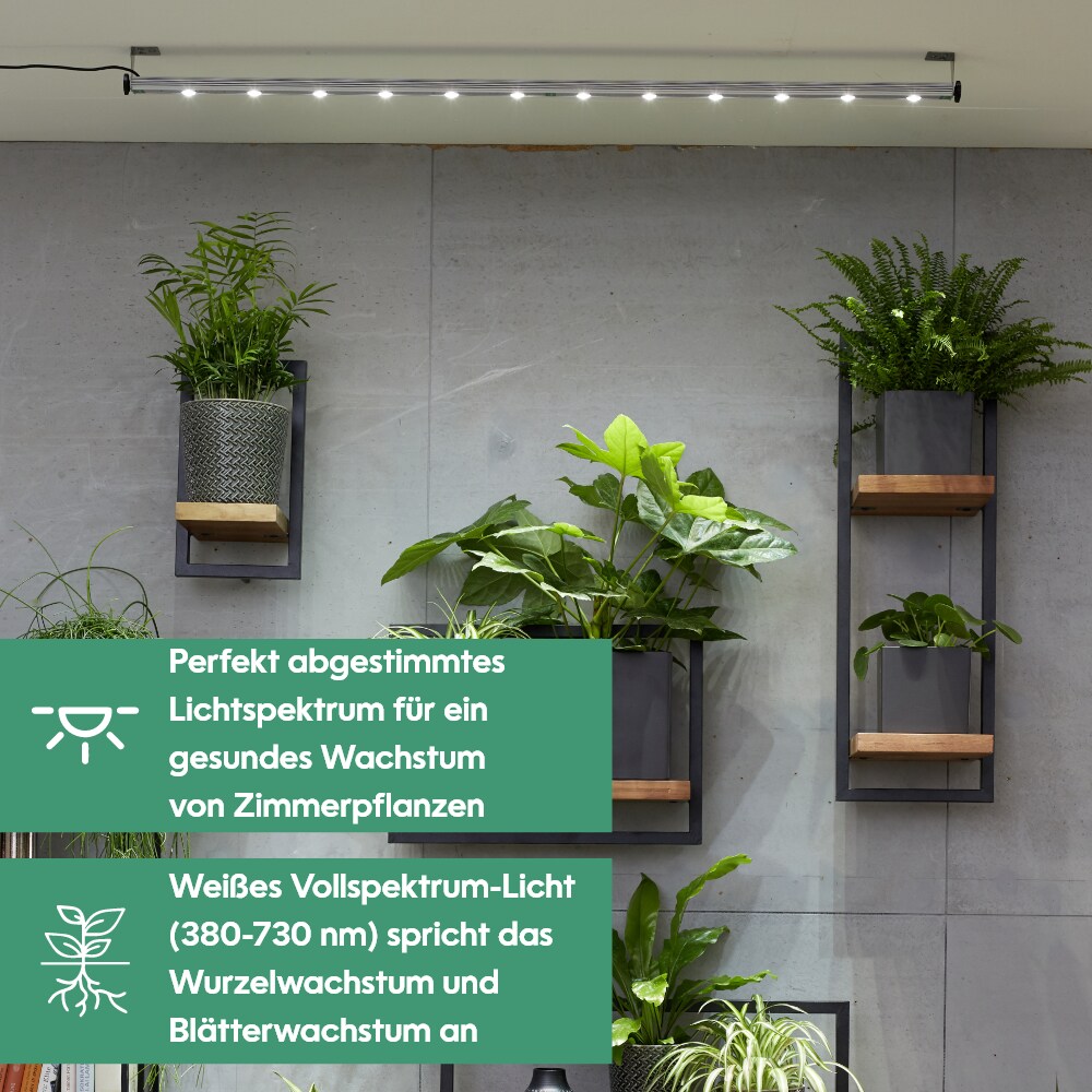 Parus by Venso Wall Spot 120cm, Abstrahlwinkel 120, LED Wachstumslampe,  Grow Light fr Zimmerpflanzen und Grnpflanzen, Fassaden- und Wandbegrnung  bei Marktkauf online bestellen