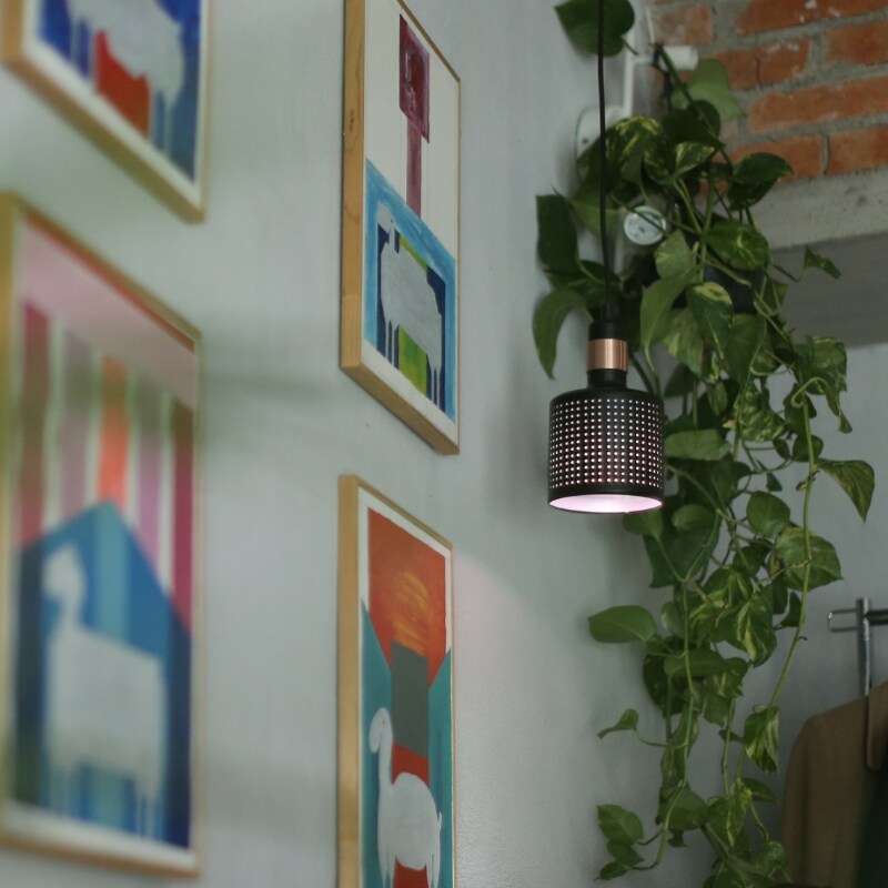 Venso EcoSolutions VEGA Pflanzenlampe E27 - Metall Lampenschirm Mit 4m Kabel