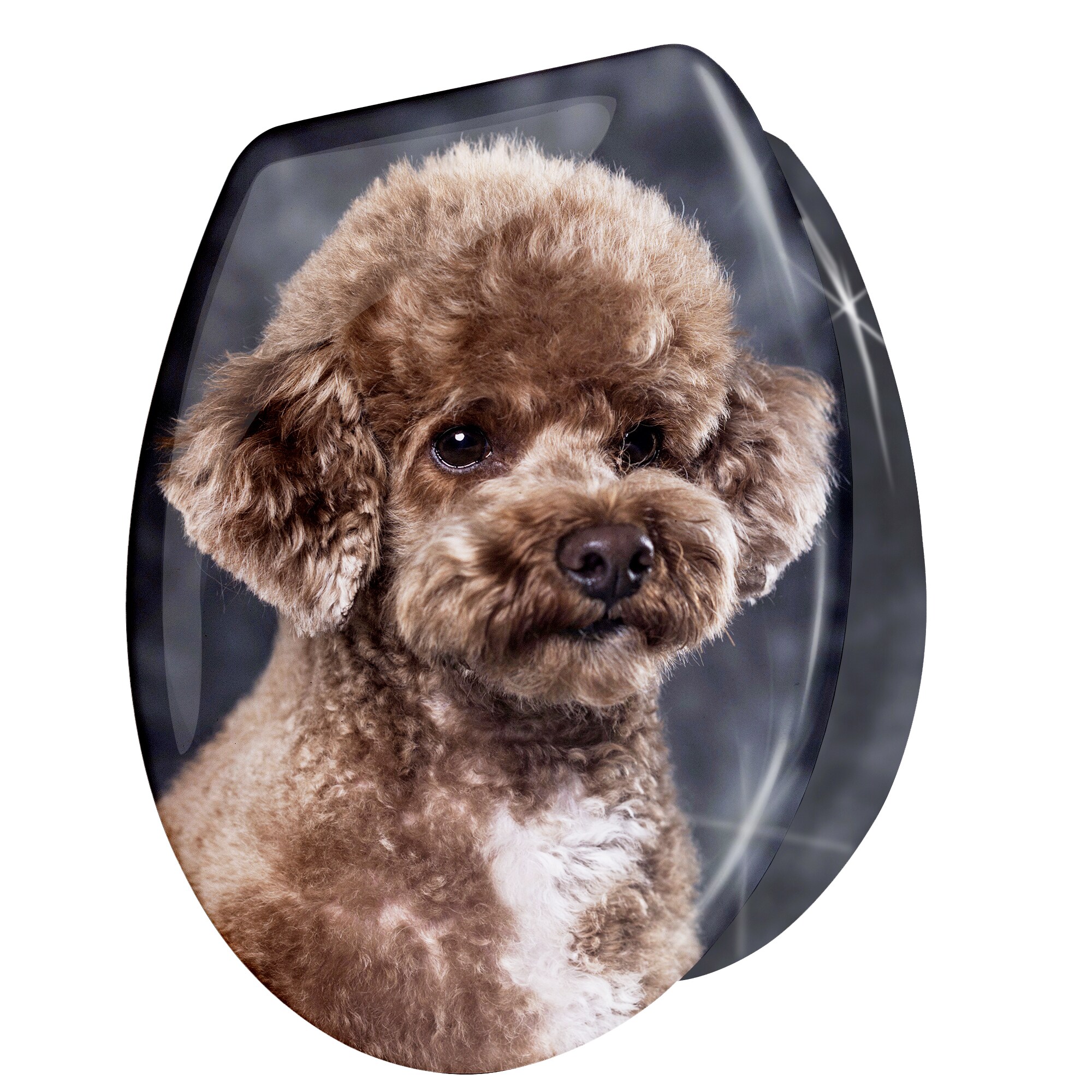 WC Sitz Toilettensitz mit Absenkautomatik Duroplast Klodeckel Klositz 