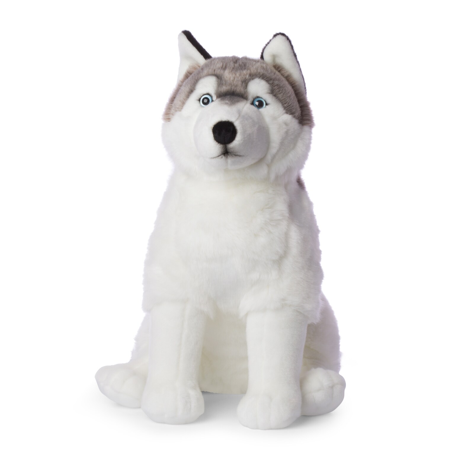 - Plüschtier - Husky (sitzend, 70cm) lebensecht Kuscheltier Stofftier Plüschfigur