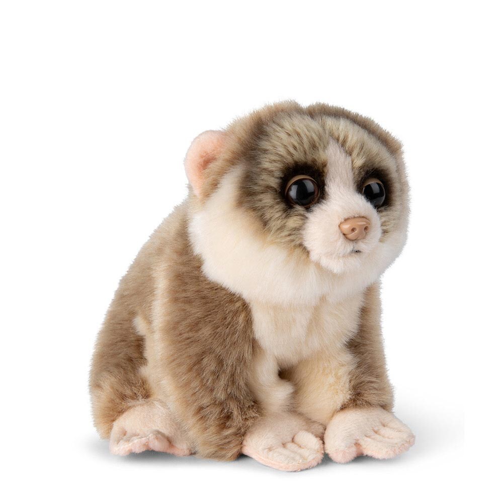 - Plüschtier - Faulaffe [Loris] (18cm) lebensecht Kuscheltier Stofftier Plüschfigur