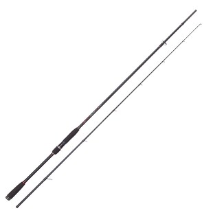 Jackson Direct Sea Spin XH 2,55m 30-85g Meeresrute 