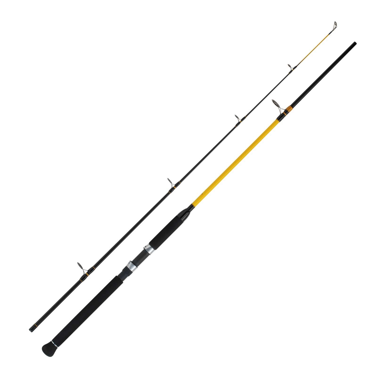 WFT Never Crack Big Fish 2,70m 150-700g Norwegen Rute 