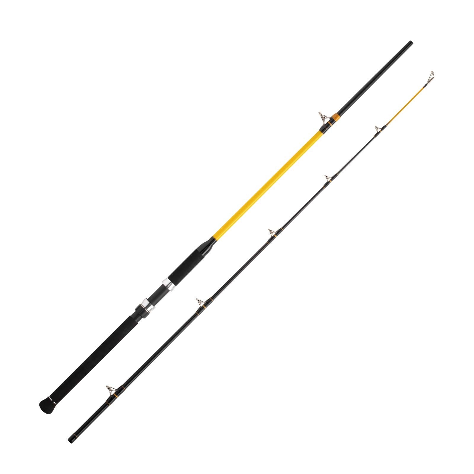 WFT Never Crack Catfish Boat LTC 3,20m 250-1000g Angelrute 