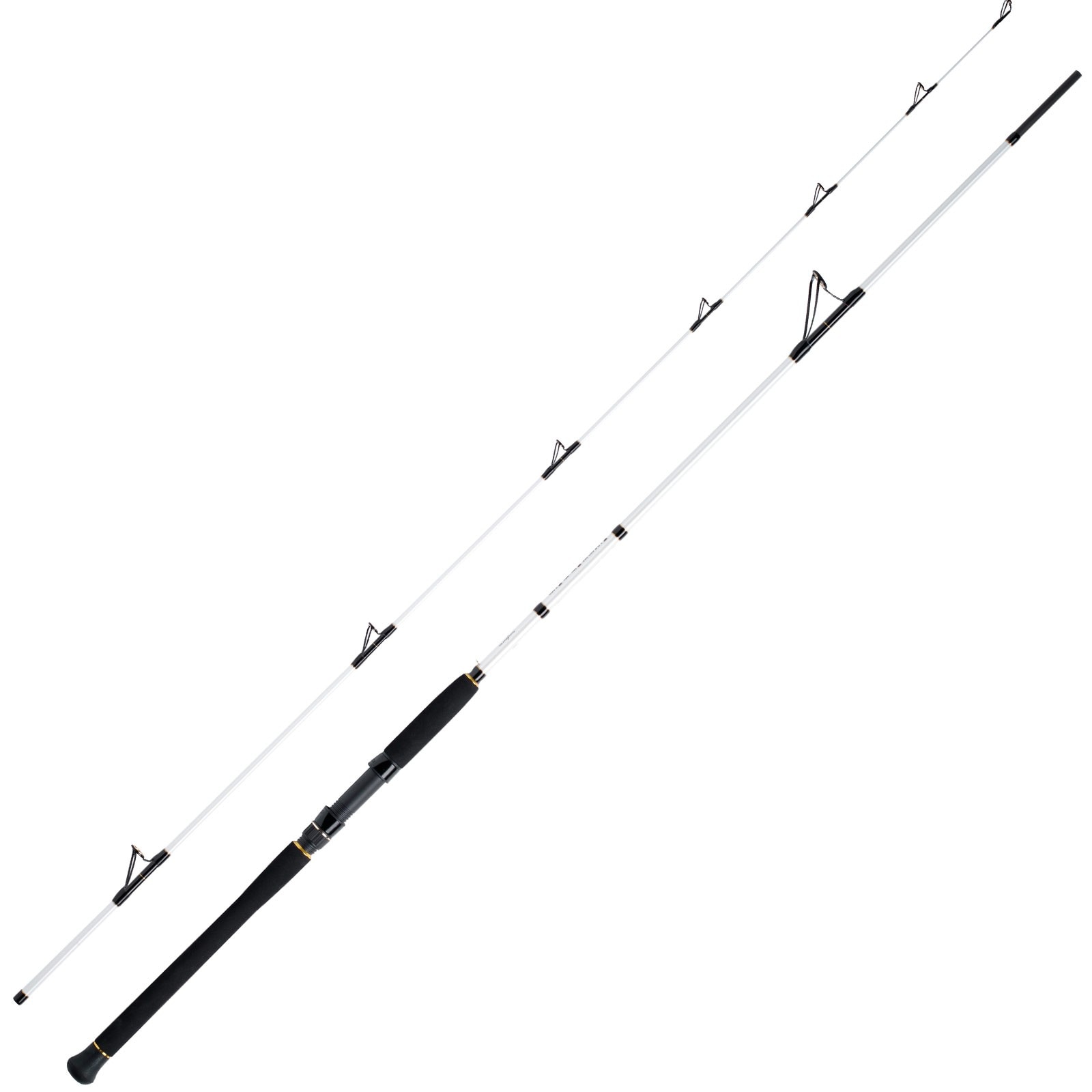 WFT Pollack Jigger Salzmeister  2,65m 20-90g Meeresrute 2-Teilig 