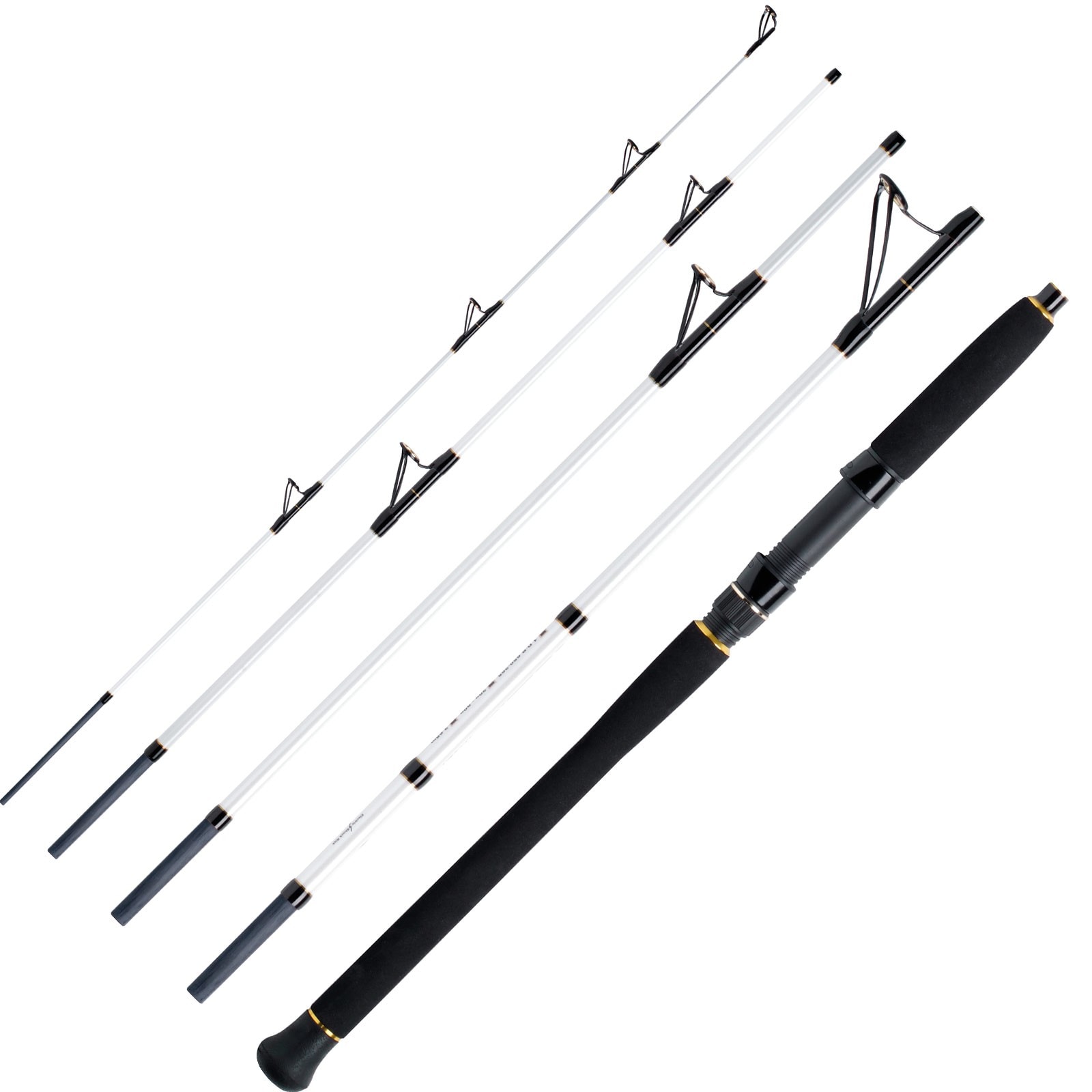 WFT Pollack Jigger Salzmeister 2,65m 20-90g Reiserute 5-Teilig 