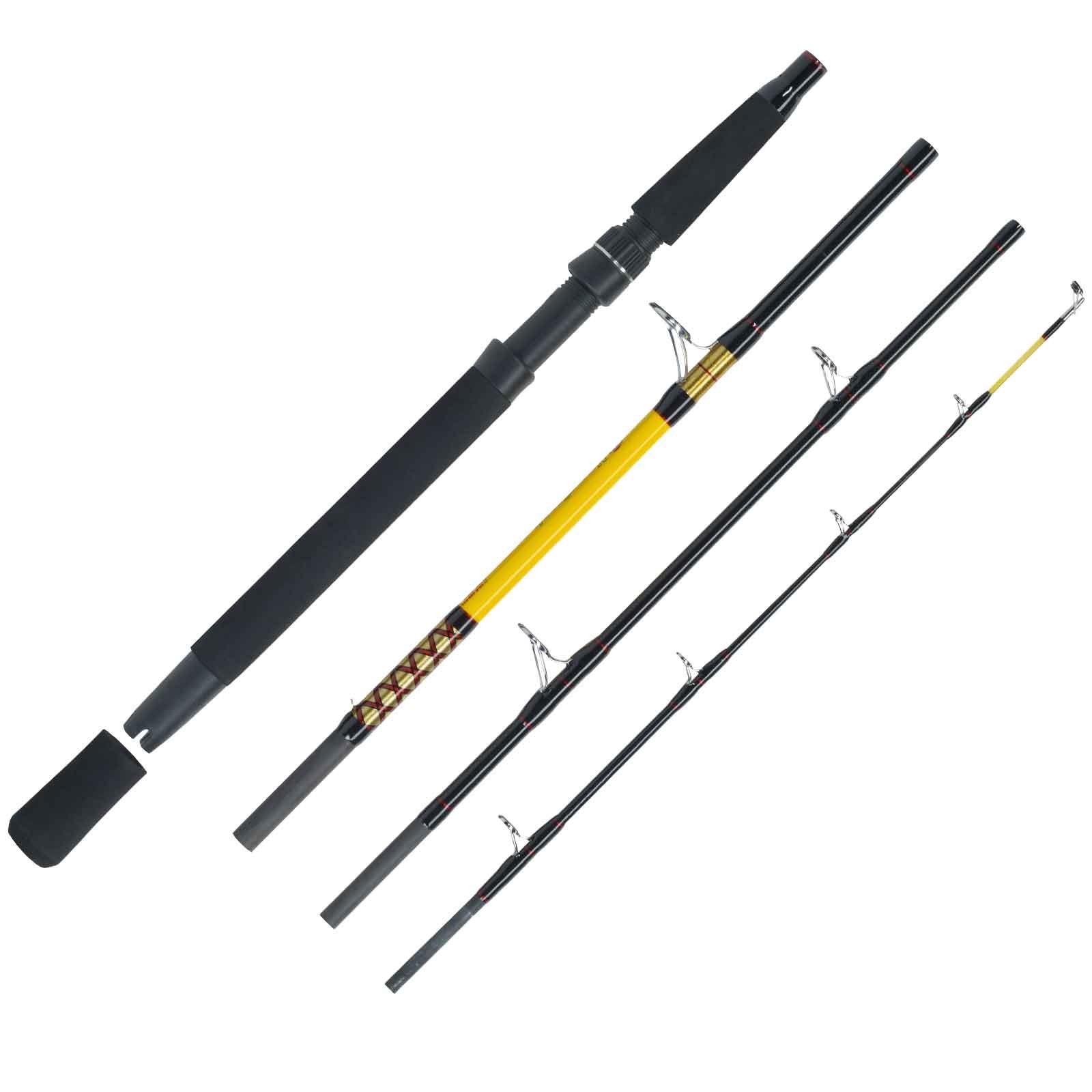 WFT Never Crack Fjordspin Travel 4 Teile 2,10m 100-400g Reiserute 
