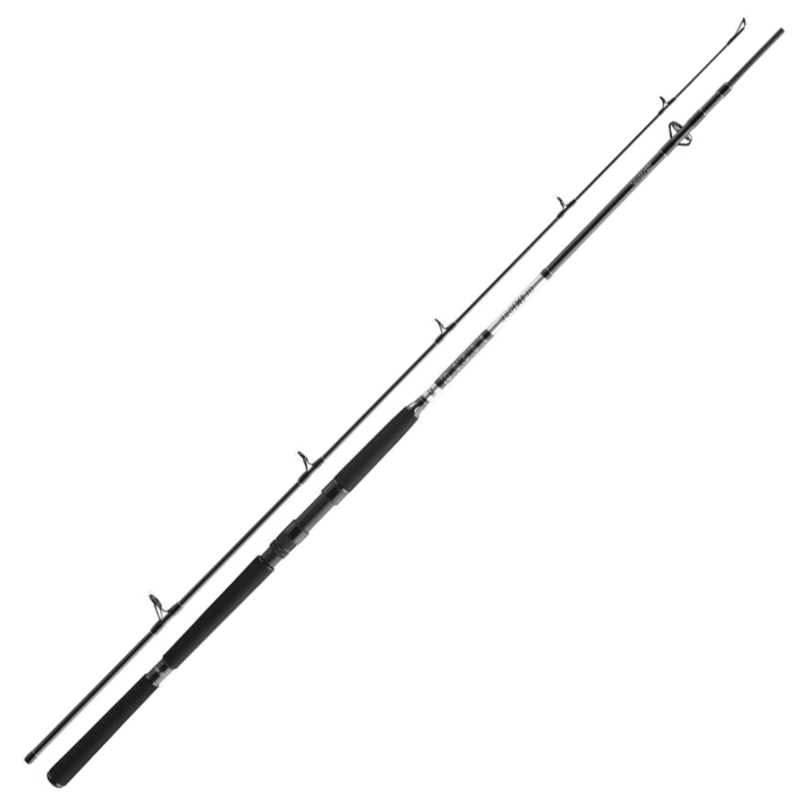 Daiwa BG Offshore Pilk 3,00m 50-165g Pilkrute 