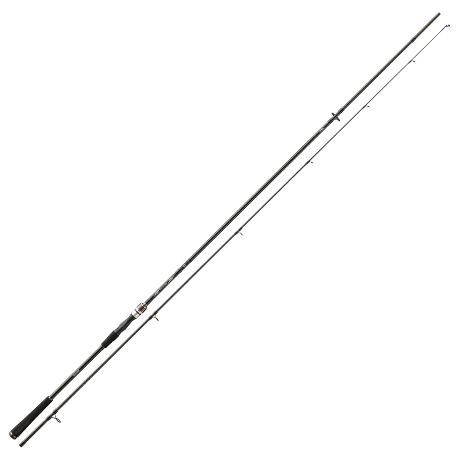 Daiwa Exceler Spin Seatrout 3.15m 15-40g Meerforellenrute 