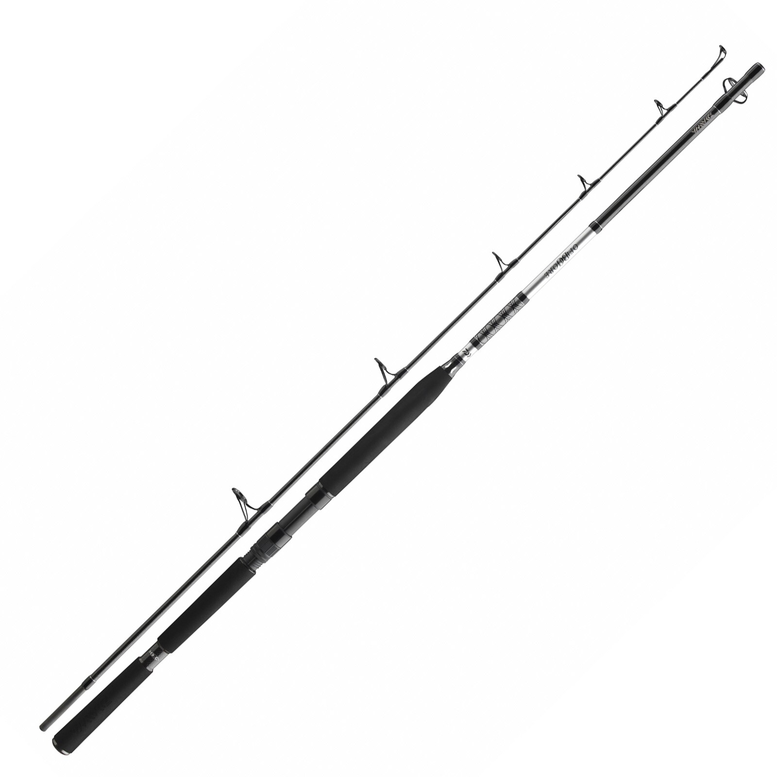 Daiwa BG Popper 2,30m 40-150g Meeres-Spinnrute 