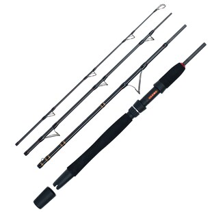 WFT Go North II 4pcs. 20lbs 2,10m 100-400g Meeres-Reiserute 
