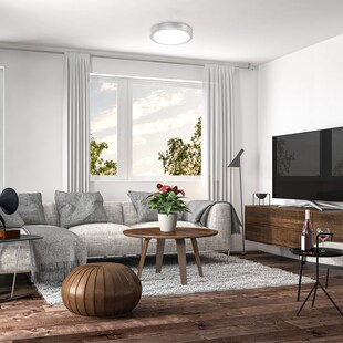 LED Deckenleuchte, silberfarbig, 1xLED/18W 