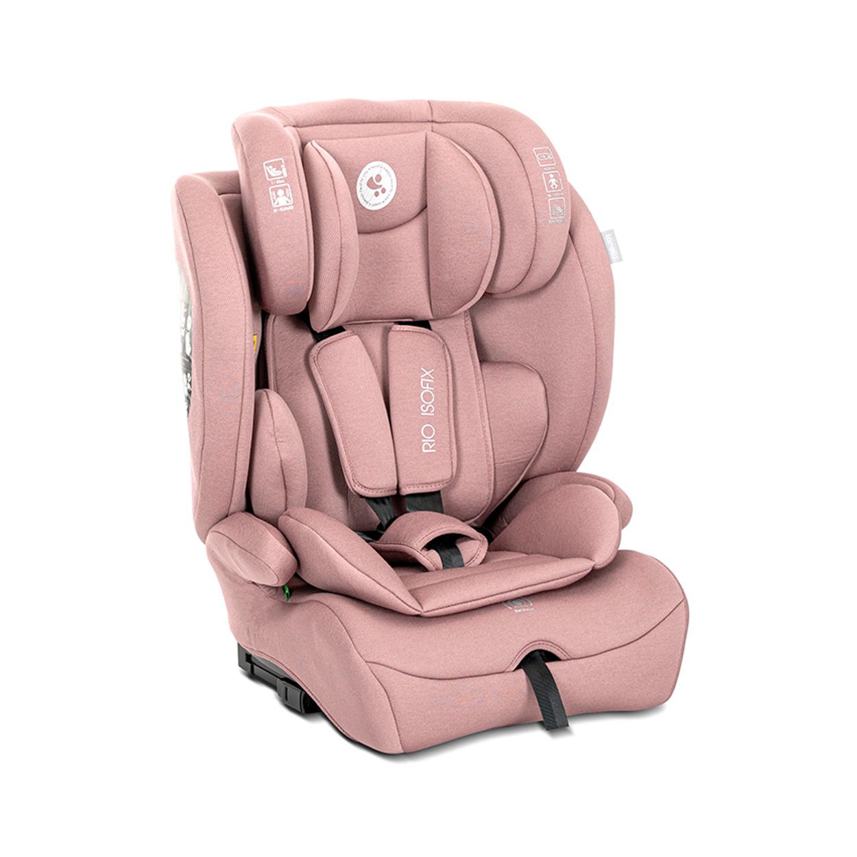 Lorelli Kindersitz Rio i-Size (76 - 150 cm) Isofix Top Tether Kissen verstellbar pink 