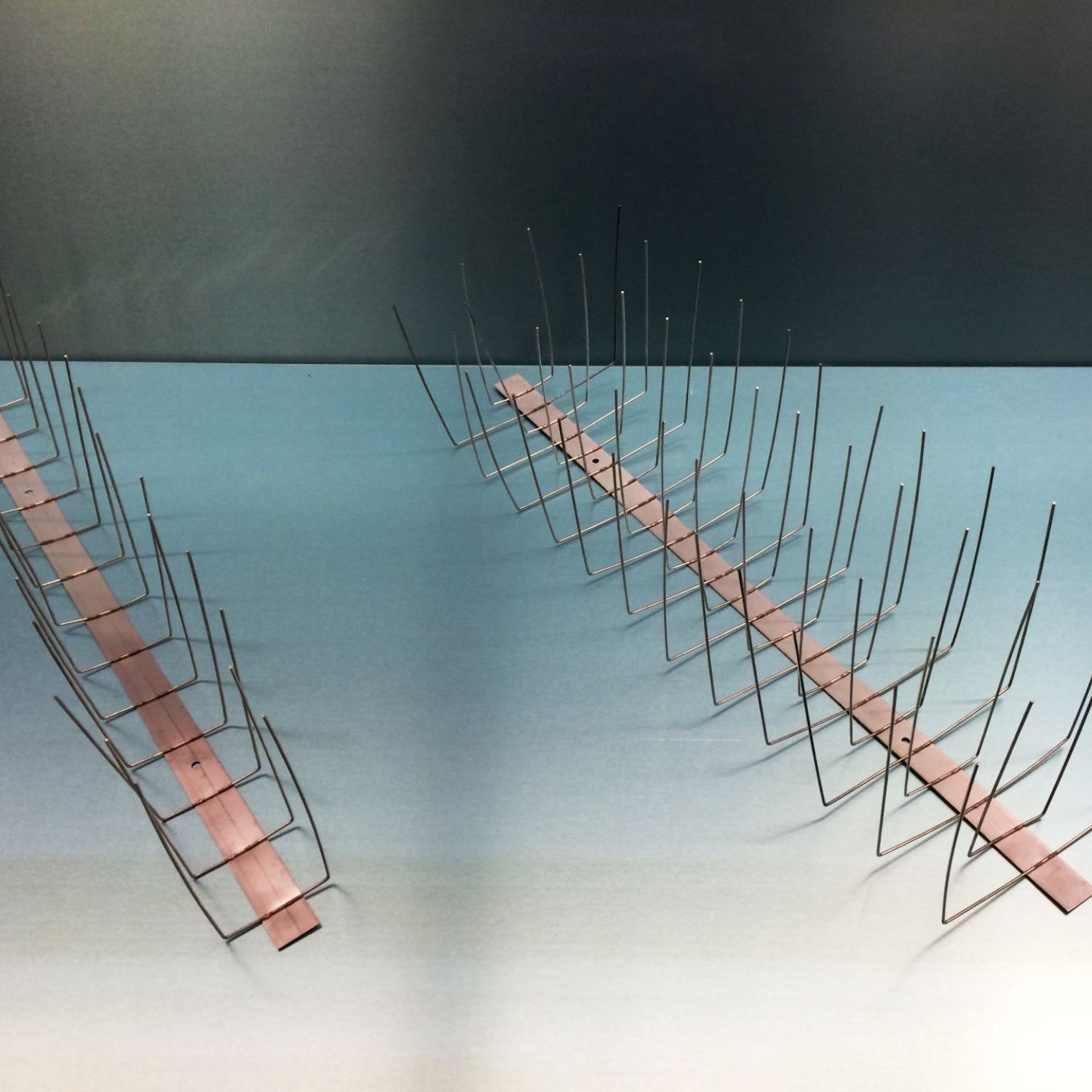 Taubenabwehr aus Edelstahl V2A 4-reihig 