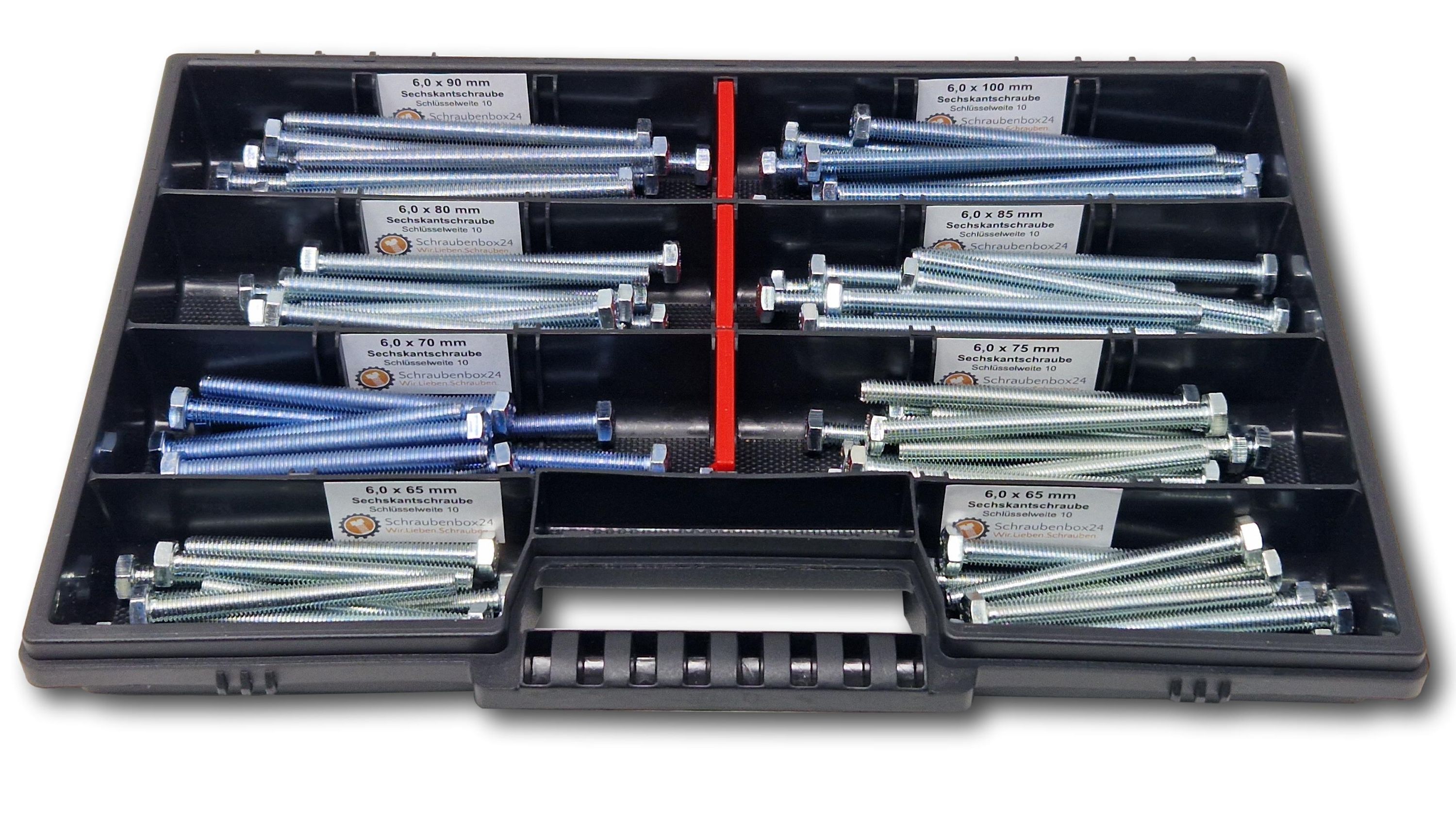 Sechskantschrauben Sortiment M6 // 65mm-100mm 110 tlg Schraubenbox DIN 933/ISO4017 Vollgewindeschrauben Maschinenschrauben Gewindeschrauben Sechskantschrauben 