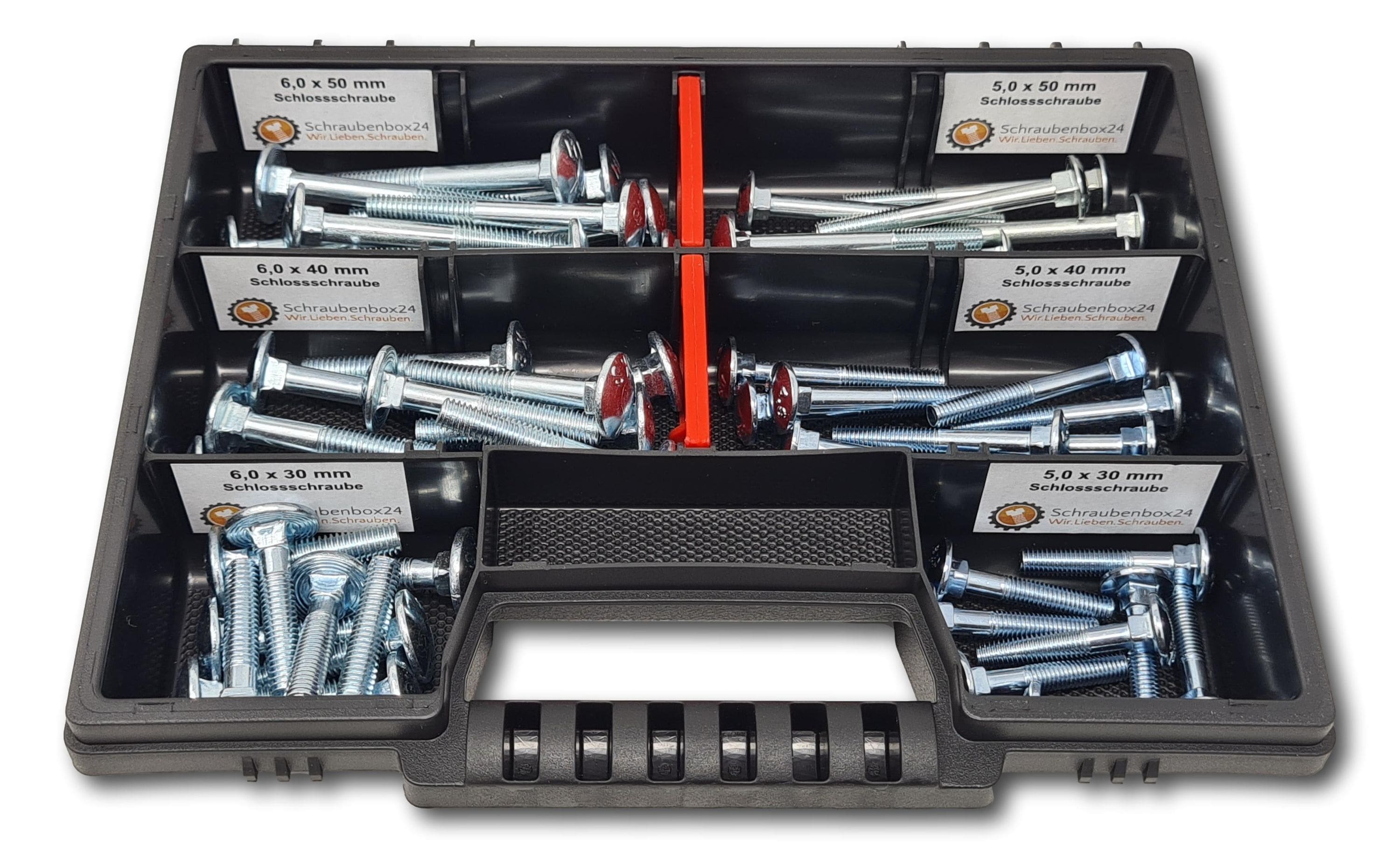 Flachkopfschrauben Sortiment M5-M6 // 30mm-50mm 60 tlg. Schraubenbox DIN 603 Bolzen Vollgewindeschrauben Maschinenschrauben Gewindeschrauben Flachkopfschrauben 