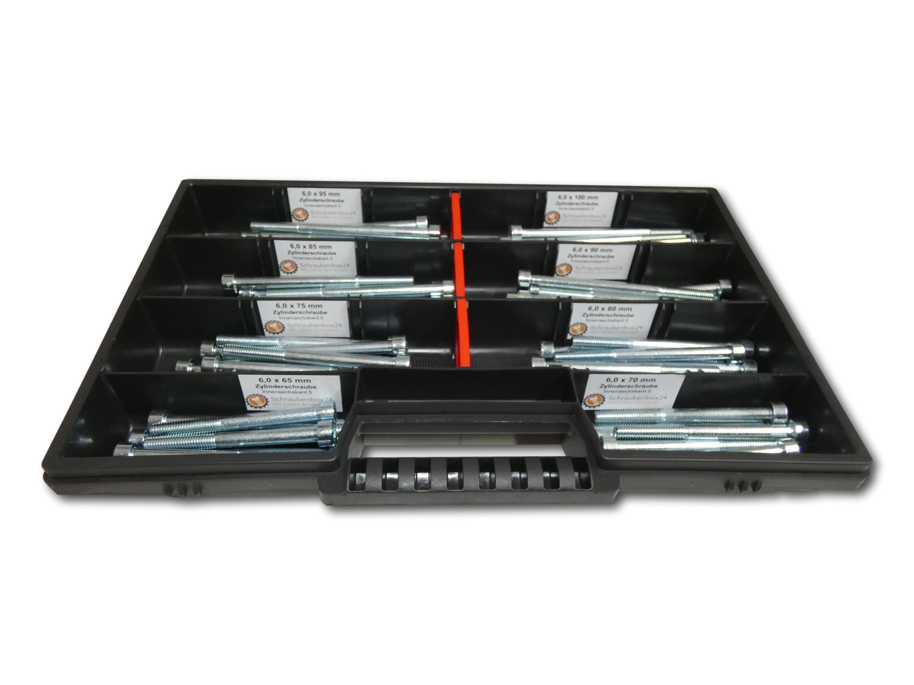 80 tlg Zylinderschrauben Sortiment M6 // 65mm-100mm Schrauben Set Schraubenbox DIN 912/ISO4762 Bolzen Vollgewindeschrauben Maschinenschrauben Gewindeschrauben Zylinderkopfschrauben 